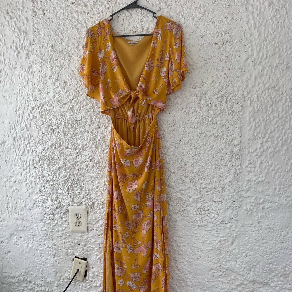 Amuse Society Dress